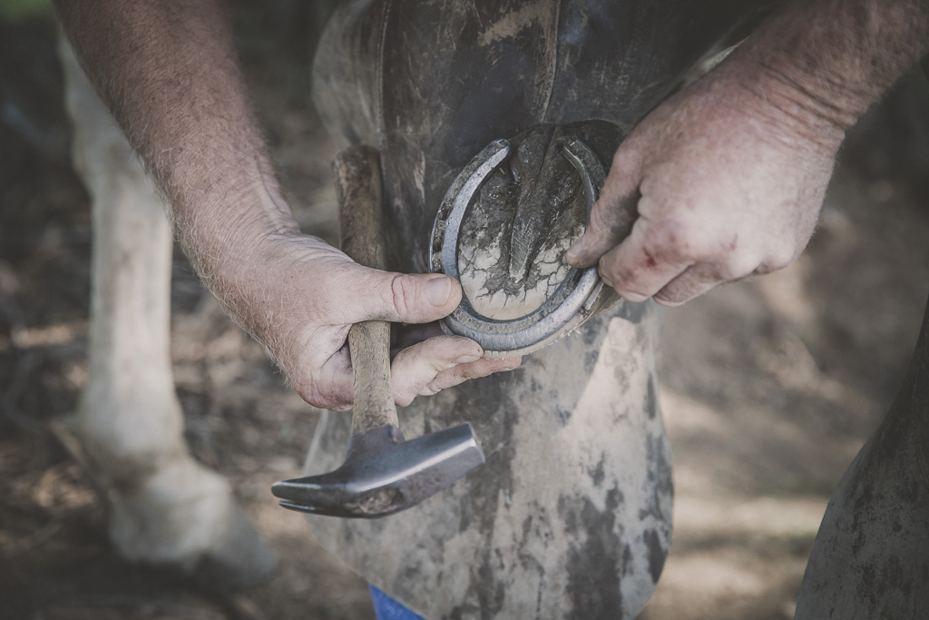 Replacing Horse Shoes