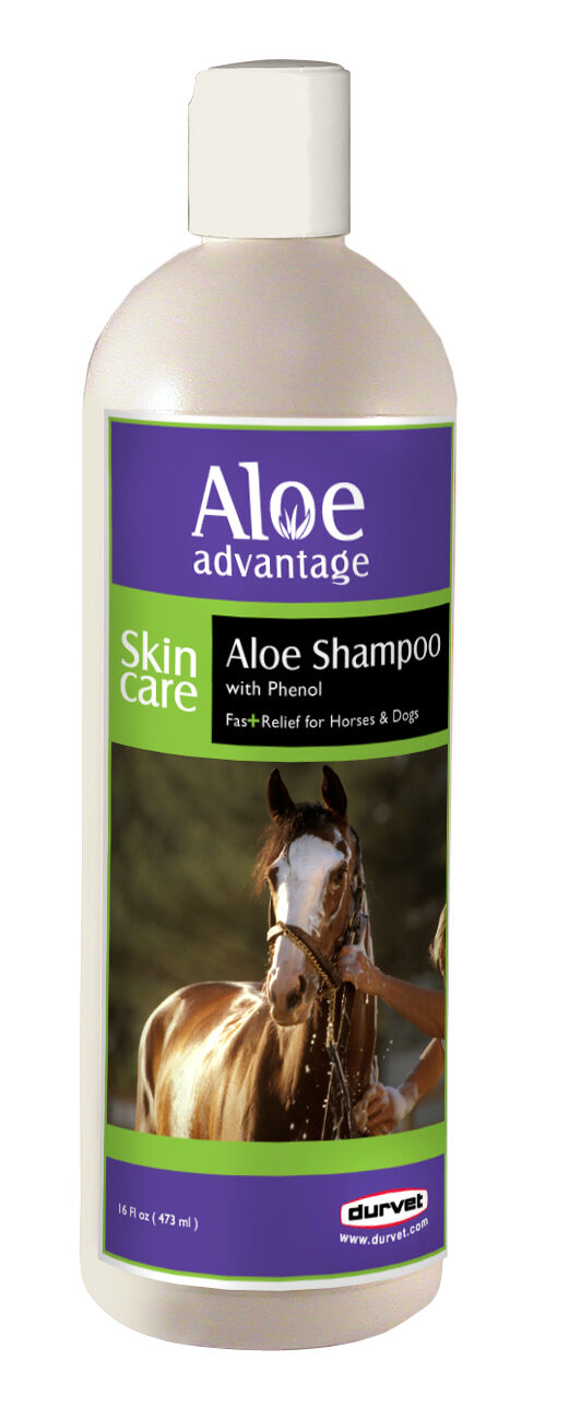 Aloe Advantage Aloe Shampoo With Phenol