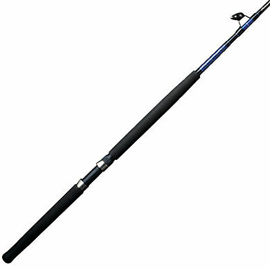 Shakespeare Tidewater Casting Rod